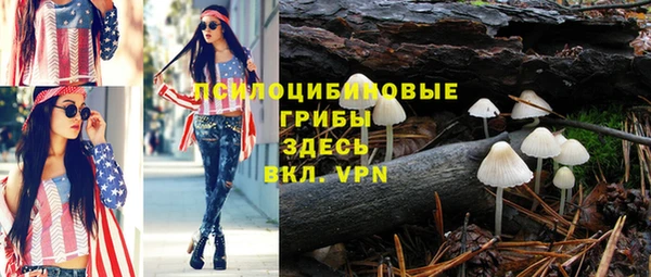 таблы Ладушкин