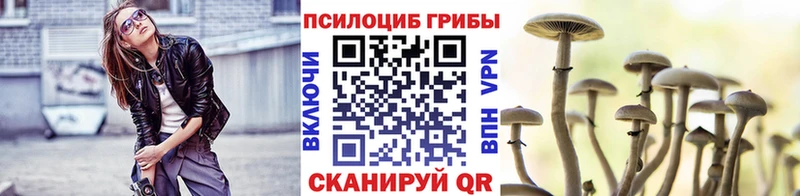 Галлюциногенные грибы мицелий блэк спрут как войти Батайск