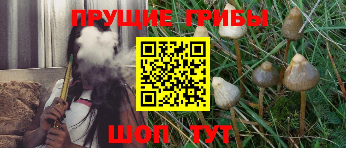 Псилоцибиновые грибы Cubensis  Батайск 