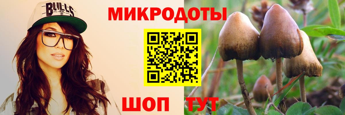 Галлюциногенные грибы прущие грибы  наркотики  Батайск  Галлюциногенные грибы Psilocybe  Вход с VPN 